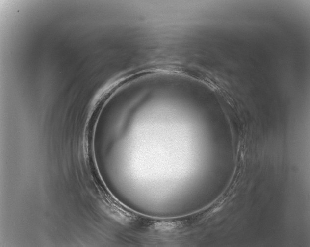 X0000080130294200612151745