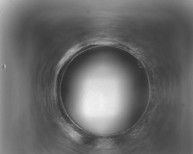 X0000080130296200612151745