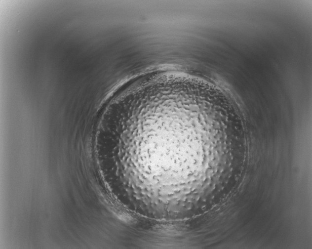 X0000080130297200612151745