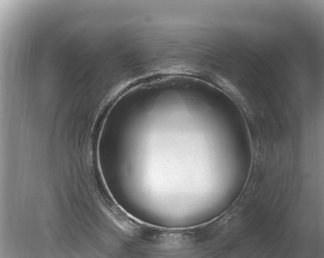 X0000080130298200612151745