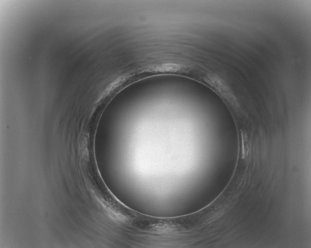 X0000080130300200612151745