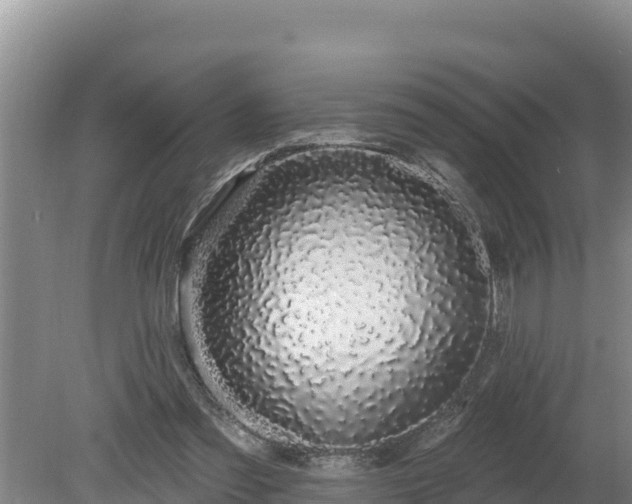 X0000080130301200612151745