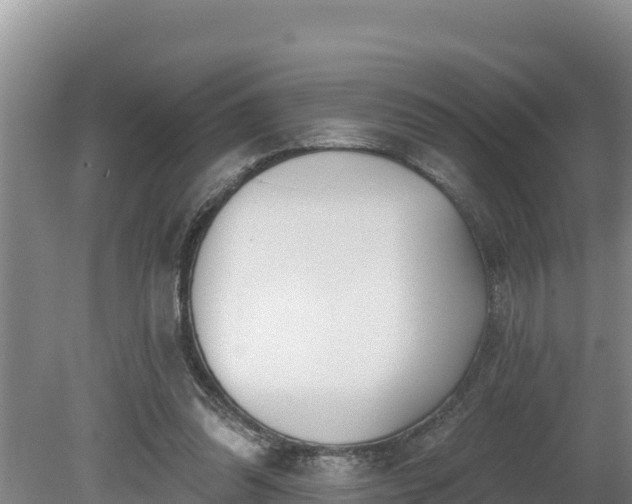 X0000080130302200612151745