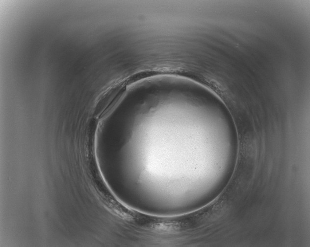 X0000080130303200612151745