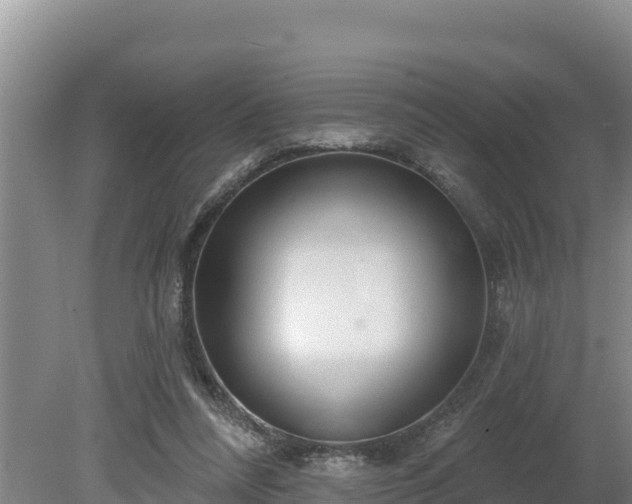 X0000080130304200612151745