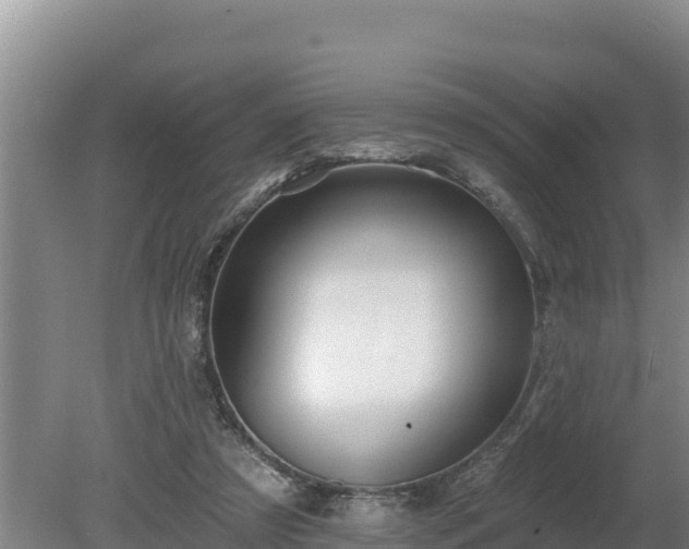 X0000080130305200612151745