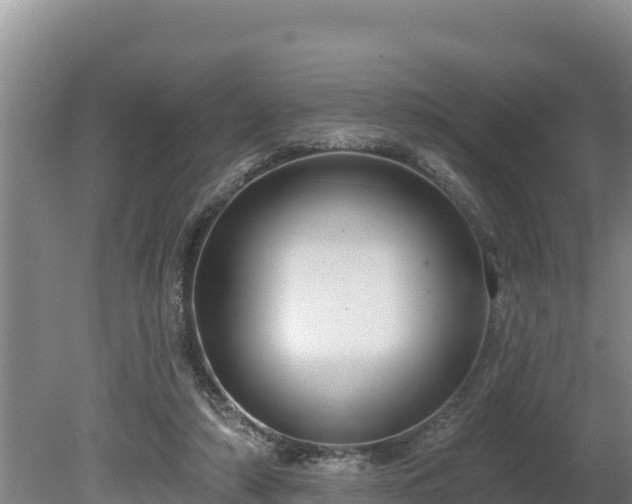 X0000080130306200612151745