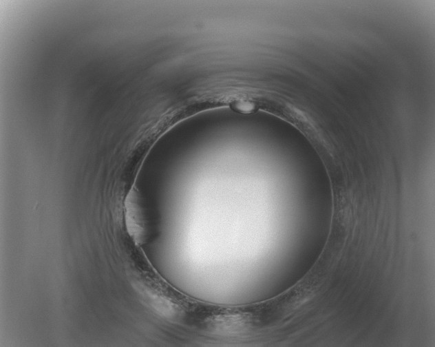 X0000080130307200612151745