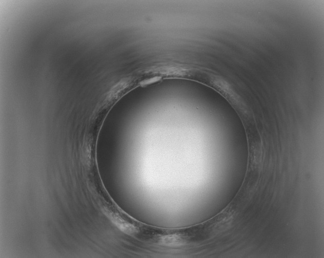 X0000080130309200612151745