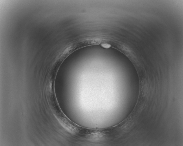 X0000080130310200612151745