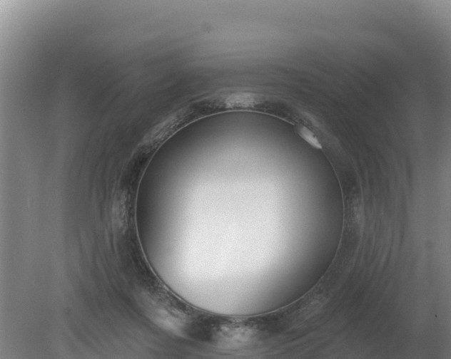 X0000080130311200612151745