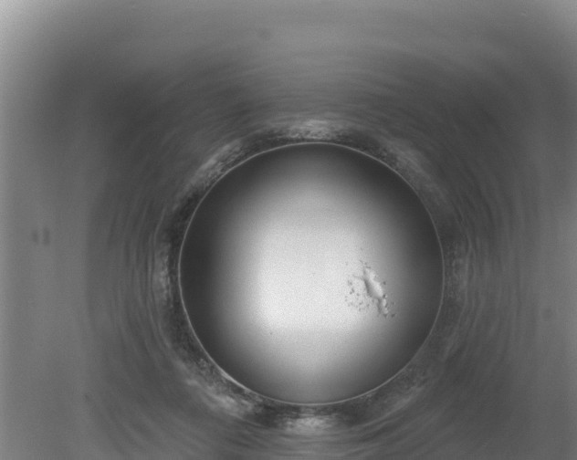 X0000080130312200612151745