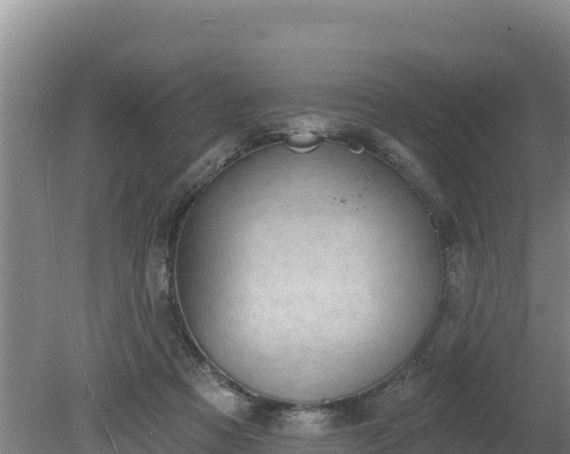 X0000080130313200612151745