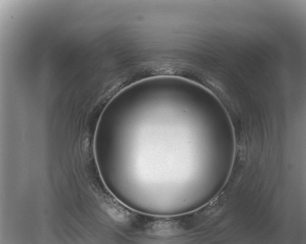 X0000080130314200612151745