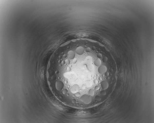 X0000080130315200612151745