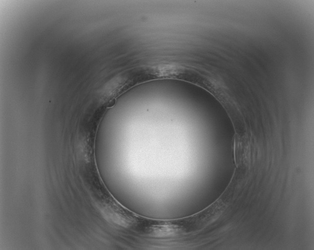 X0000080130316200612151745