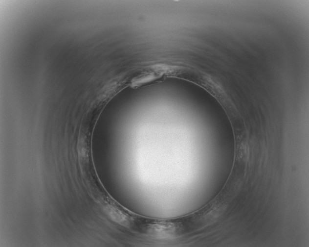 X0000080130317200612151745