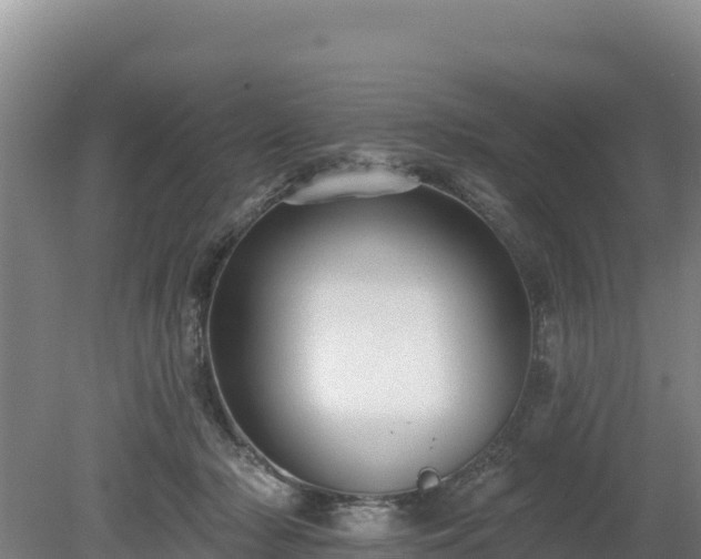 X0000080130318200612151745