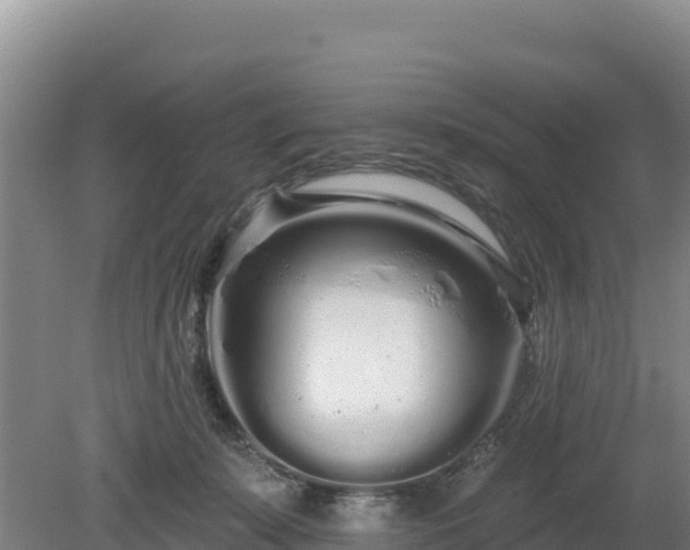 X0000080130319200612151745