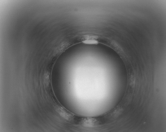 X0000080130321200612151745