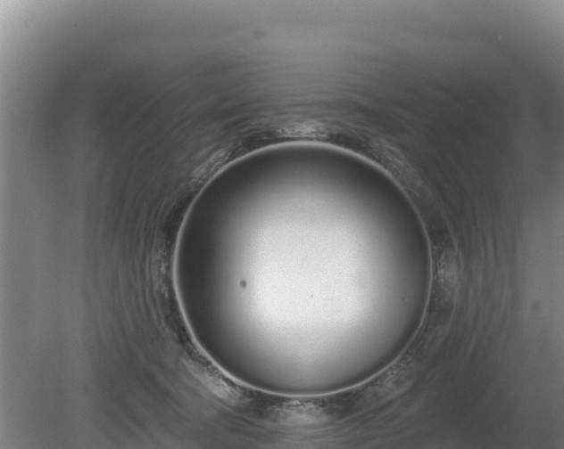 X0000080130322200612151745