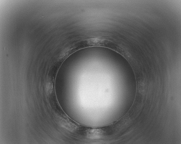 X0000080130324200612151745