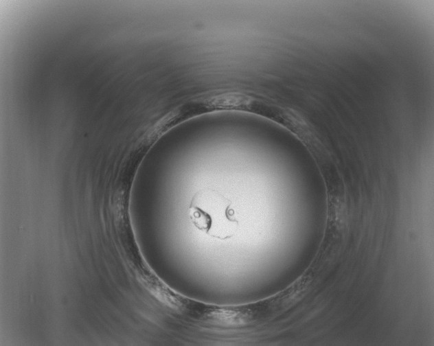 X0000080130326200612151745