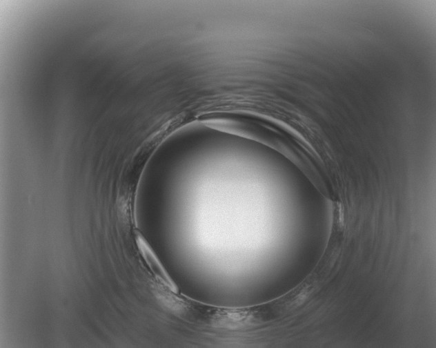 X0000080130329200612151745