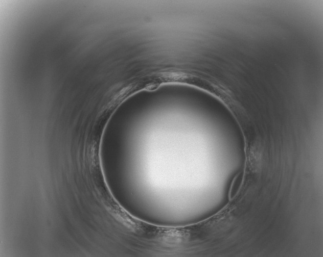 X0000080130330200612151745