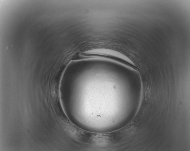 X0000080130331200612151745