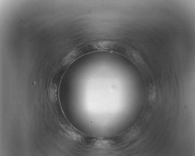 X0000080130332200612151745