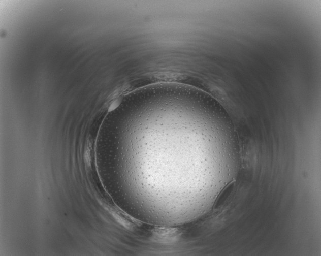 X0000080130334200612151745