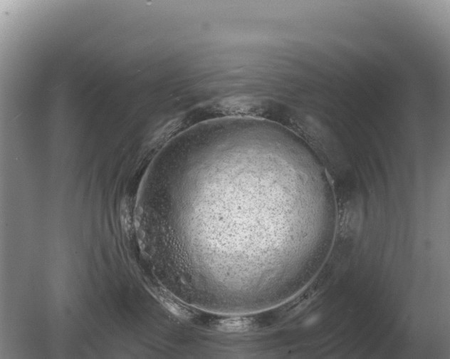 X0000080130335200612151745