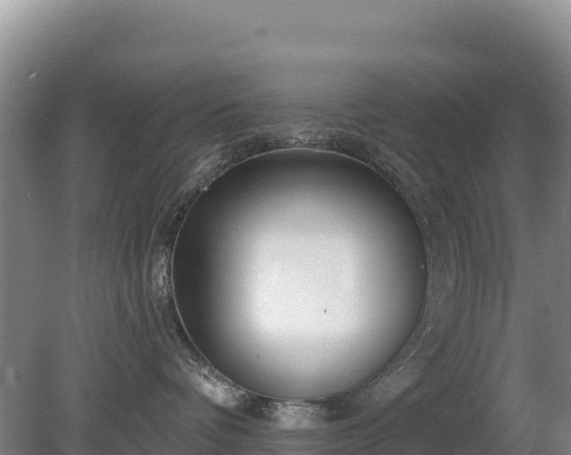 X0000080130336200612151745