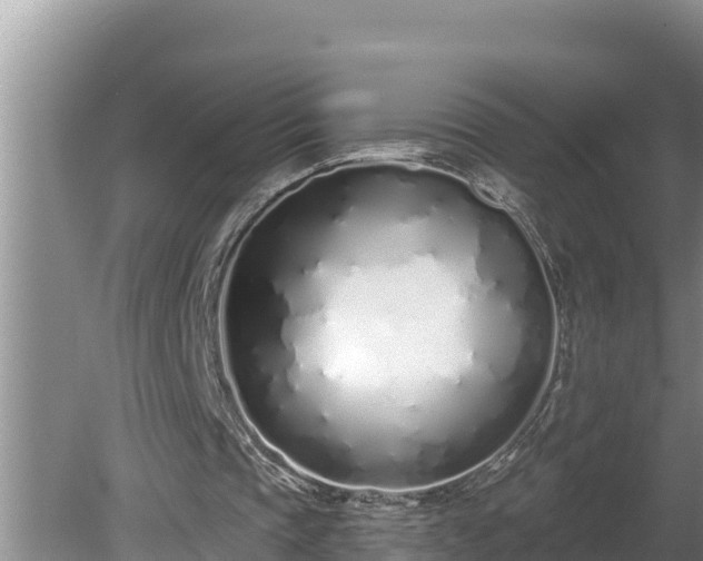 X0000080130337200612151744