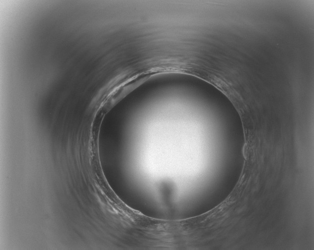 X0000080130338200612151744