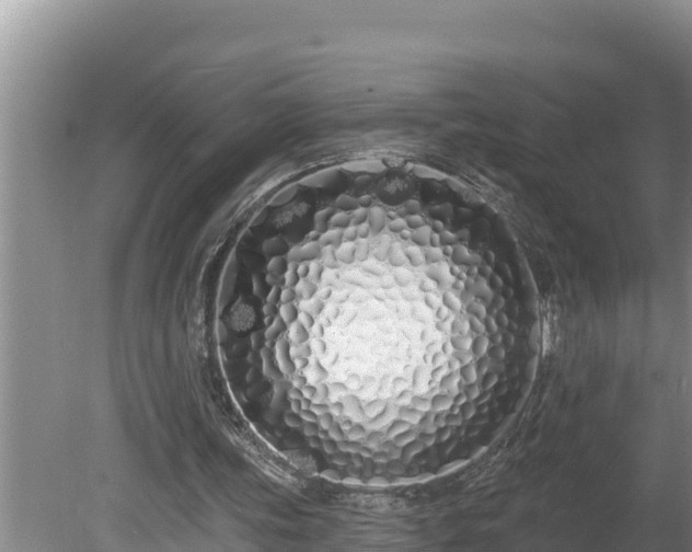 X0000080130339200612151744