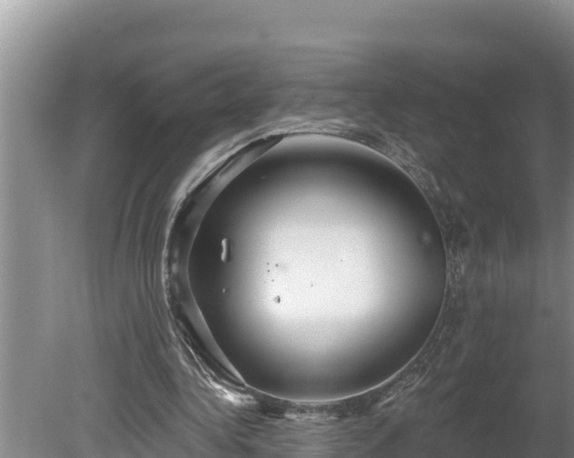 X0000080130340200612151744