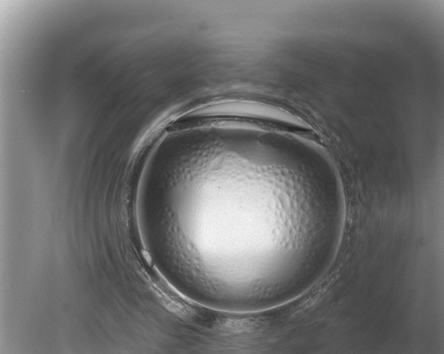 X0000080130341200612151744