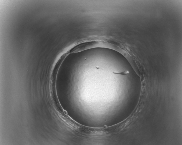 X0000080130342200612151744