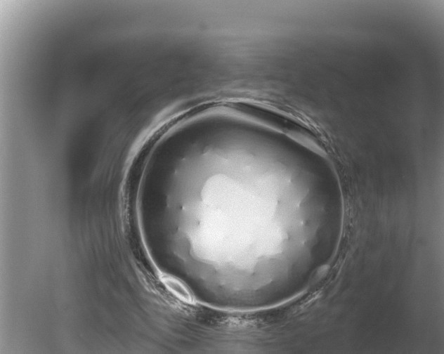 X0000080130343200612151744