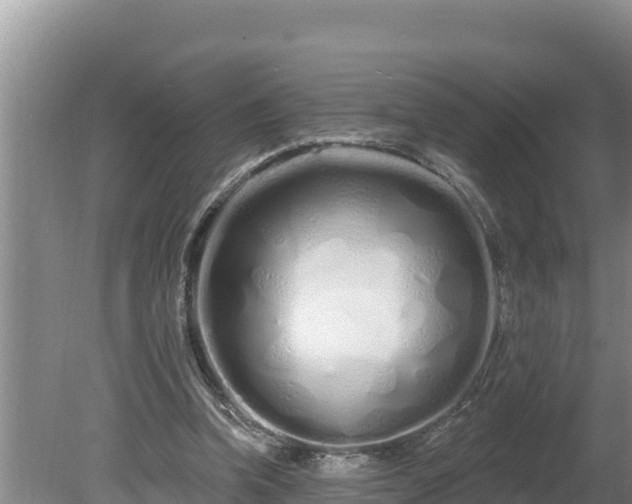 X0000080130346200612151744