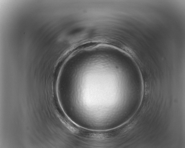 X0000080130349200612151744