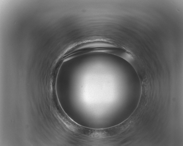 X0000080130350200612151744