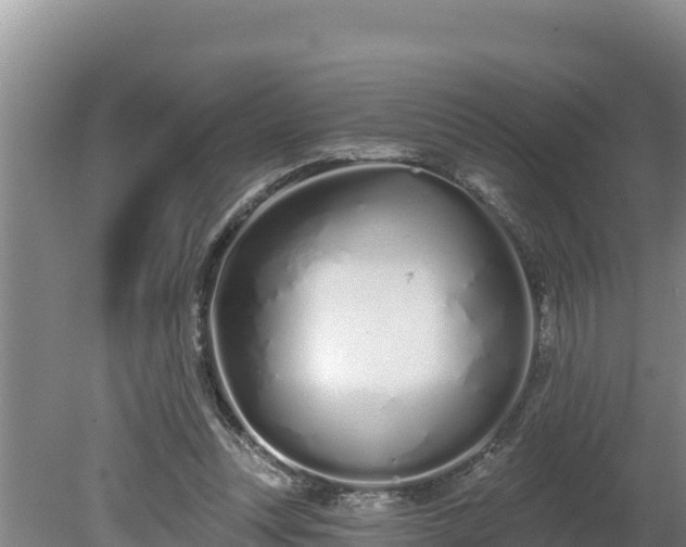 X0000080130351200612151744