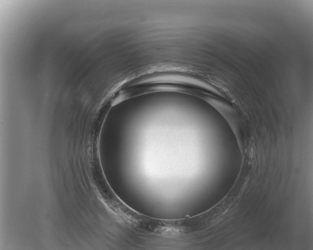 X0000080130352200612151744