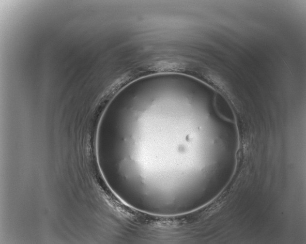 X0000080130353200612151744