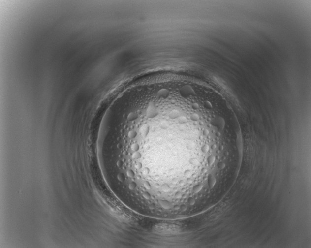 X0000080130354200612151744