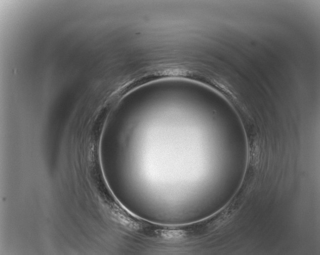 X0000080130355200612151744