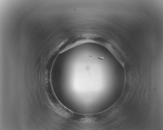 X0000080130356200612151744